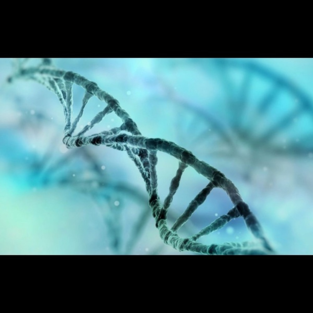 A la Cart DNA Based Program Design Kit - Picture 2 of 3